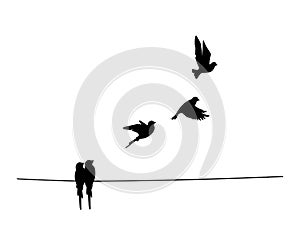 Birds on wire and flying birds silhouettes, vector.