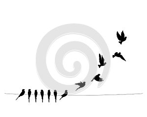 Birds on wire and flying birds silhouettes, vector. Scandinavian minimalism art design. Birds illustration isolated