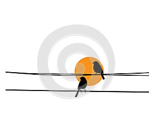 Birds on wire silhouette on sunset, Vector