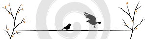Birds on wire on branch and flying bird silhouette, vector