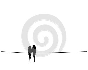 Birds on wire, vector. Birds couple silhouettes
