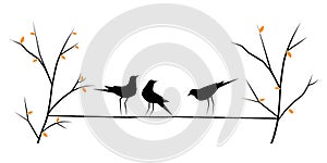 Birds on wire Vector, Birds silhouettes isolated on white background