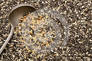 Birdseed