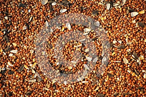 Birdseed Background photo