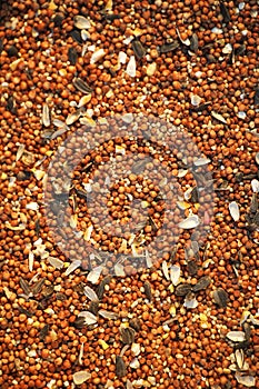 Birdseed Background Wide photo