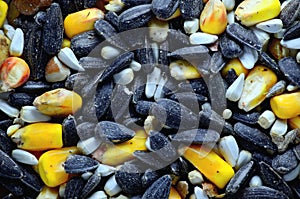 Birdseed Macro