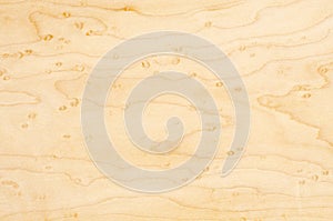 Birdseye Maple Textures #2