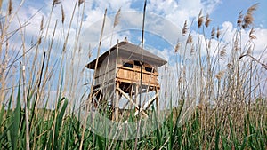 Birdwatch tower photo