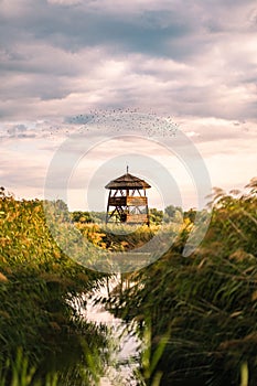 birdwatch tower sitting in a grass field near the water photo
