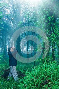 Birdwatcher with binoculars watching birds in a rainforest