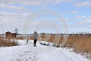 Birdwatcher in a winter landscape