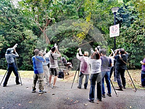 Birdwatchers taking photographs in nature park