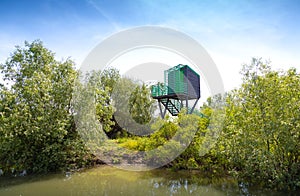 Birdwatching hideout for birds in the Danube Delta