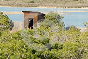 Birdwatching hideout in Las Salinas