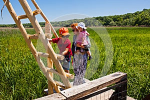 Birdwatching tower