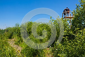 Birdwatching tower