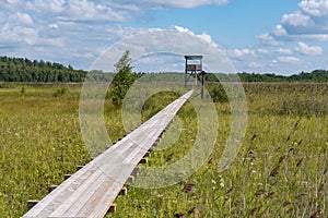 Birdwatching tower and footbridge across the swamp at Bolshom rakovom Big Crayfish Lake. Eco route in the