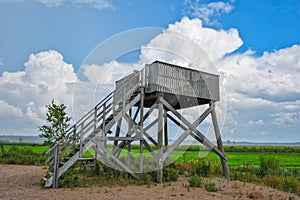 Birdwatching tower