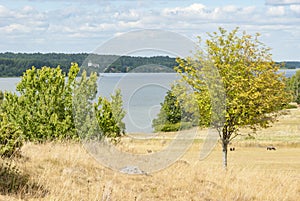 Birka world heritage site Sweden