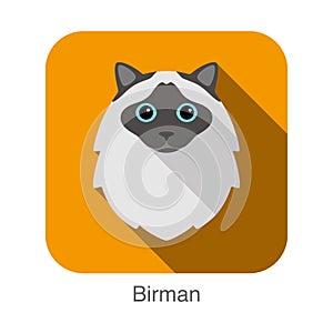 Birman, Cat breed face cartoon flat icon design