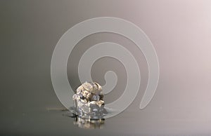 The birth of a female mosquito