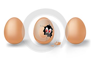 The birth of life. Vector