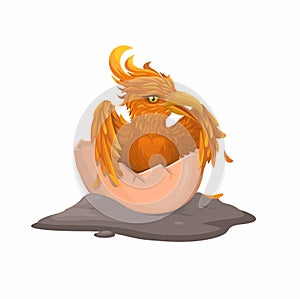 Birth Of A Phoenix Mythology Creature Illustration Vector