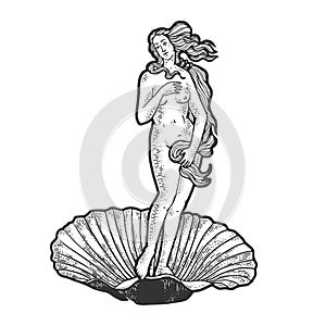 Birth of Venus sketch engraving vector photo