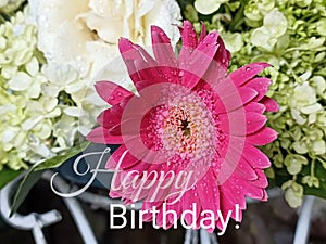 Birthday backgrounds with text. Happy birthday card and wishes with pink daisy flowers and soft white rose and green hydrangea photo