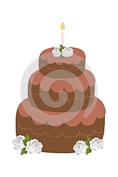 Birthday Cake Cartoon Illustration