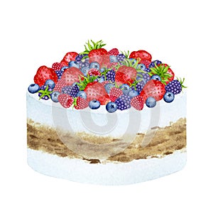 Birthday cake decorated with berries. Watercolor holiday clipart