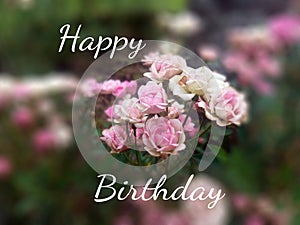 Birthday card with little pink rose flowers background. Happy Birthday.