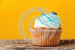 Birthday cupcake with blueberry over yellow background. Congratulation card for birthday