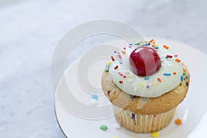 Birthday cupcake with confetti sprinkles