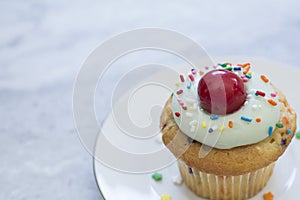 Birthday cupcake with confetti sprinkles