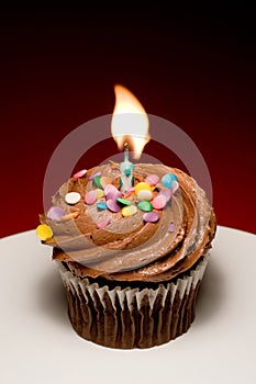 Birthday Cupcake II