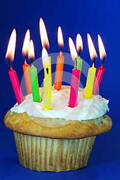 Birthday cupcake with lots of candles