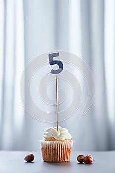 Birthday cupcake with number 5 five
