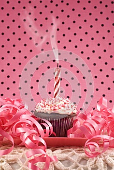 Birthday Cupcake with One Smoking Candle