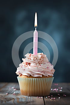 Birthday Cupcake with Pink Candle and Frosting