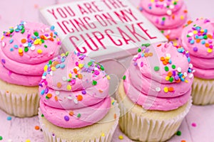 Birthday Cupcakes with Pink Frosting