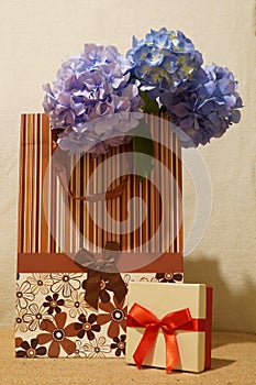 Birthday gifts wrapped in bag and box with bow and blue hydrangea flowers bouquet