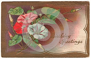 Birthday Greetings Morning Glory Vintage Postcard