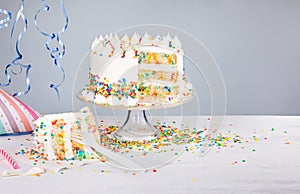 Birthday Party Cake with Sprinkles