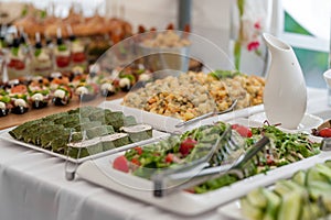 Birthday Table With Food. Snacks and Appetizer on the Table. Fish and Raw Meat with Vegetables.