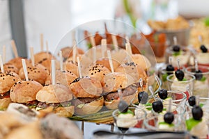 Birthday Table With Food. Snacks and Appetizer on the Table. Fish and Raw Meat with Vegetables. Burger with Meat.