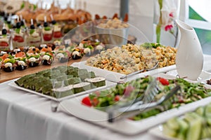 Birthday Table With Food. Snacks and Appetizer on the Table. Fish and Raw Meat with Vegetables. Salad in Background