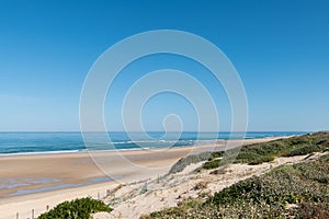 Biscarrosse, on the French Atlantic coast photo