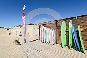 Biscarrosse, on the French Atlantic coast photo