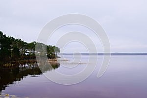 Biscarrosse lake wild coast water in cloudy winter day